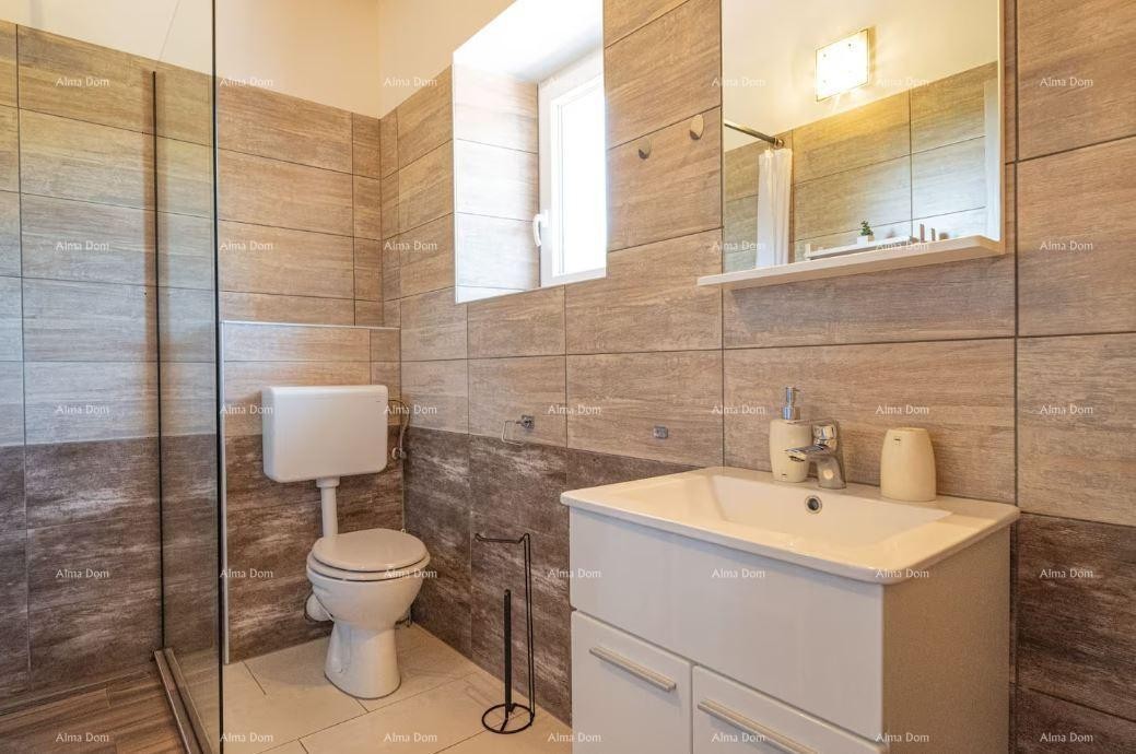 Renovated Istrian stone house with swimming pool 24