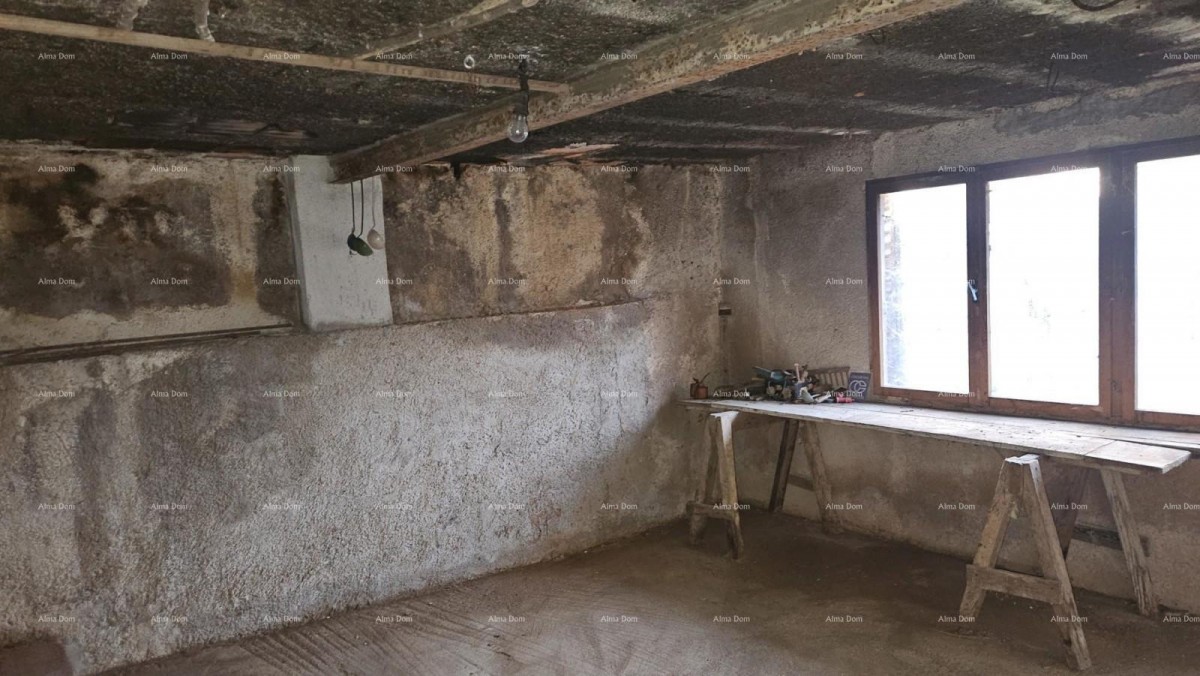 ŽMINJ (surroundings) - excellent stone house with a yard 15