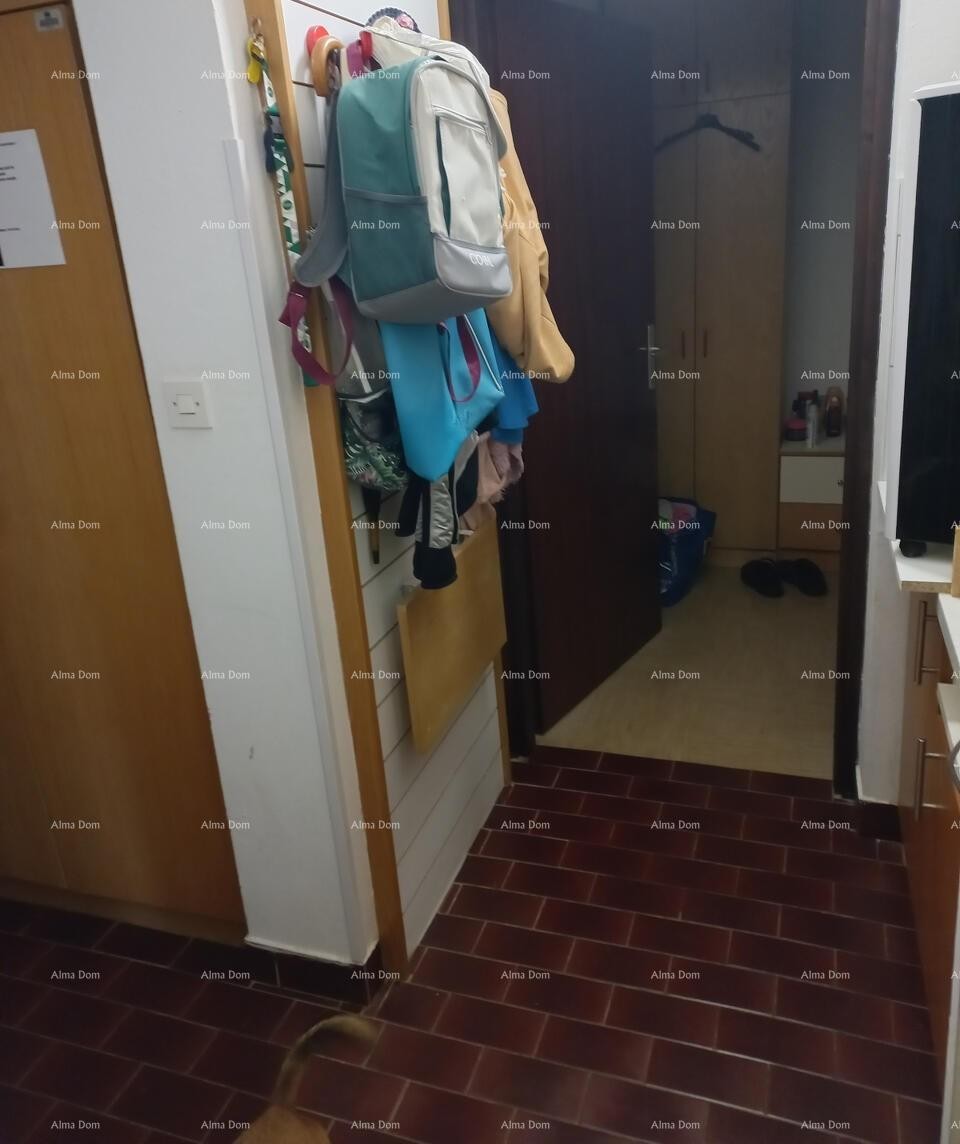 Apartma 32 m2 , Mareda 9