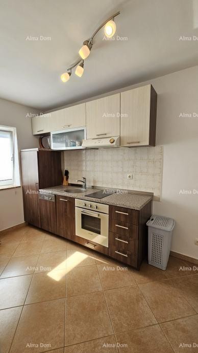 Квартира Novigrad 11