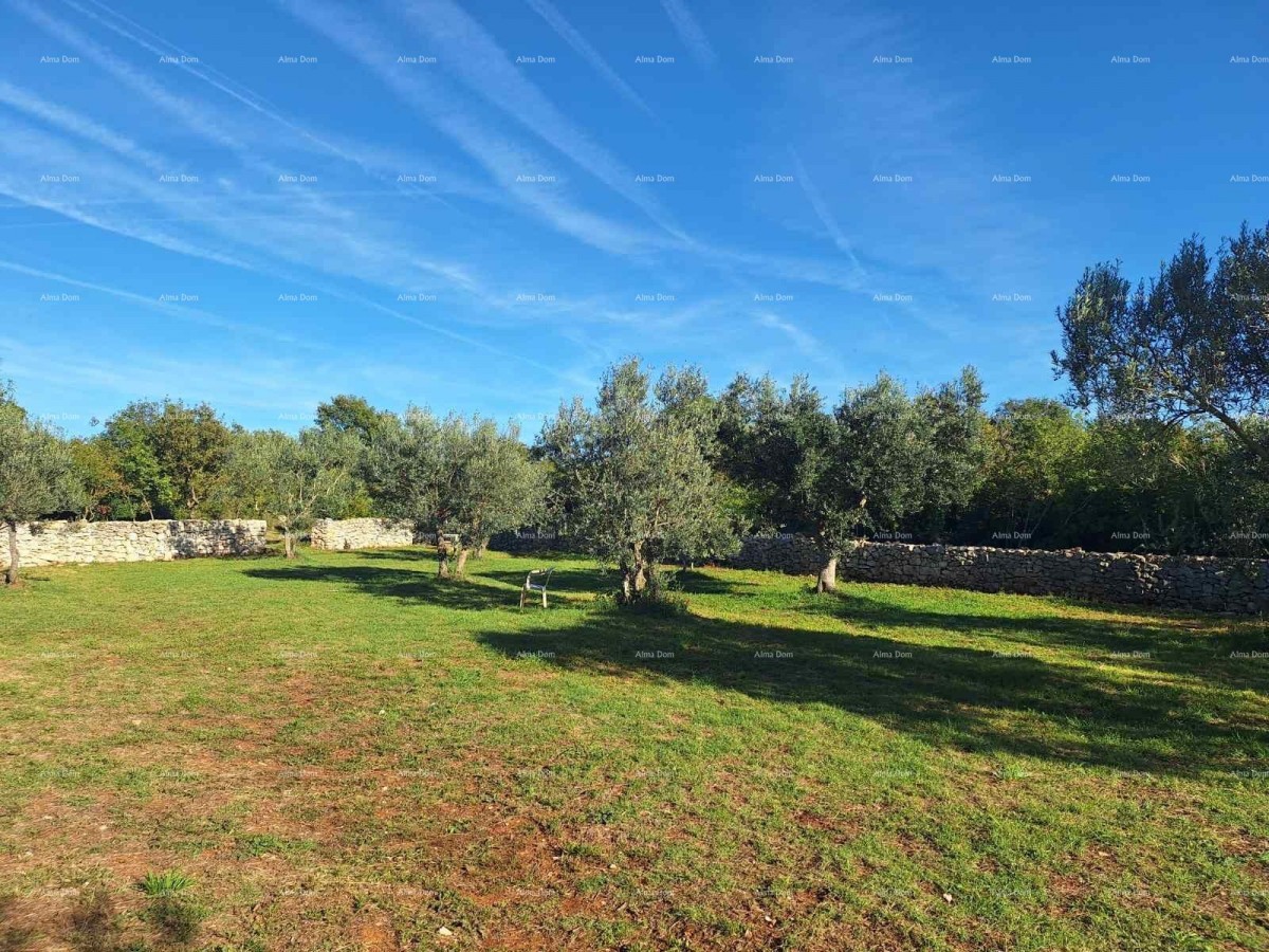 СЕЛЬСКОХОЗЯЙСТВЕННАЯ земля рядом с морем, Перов - продажа! 3