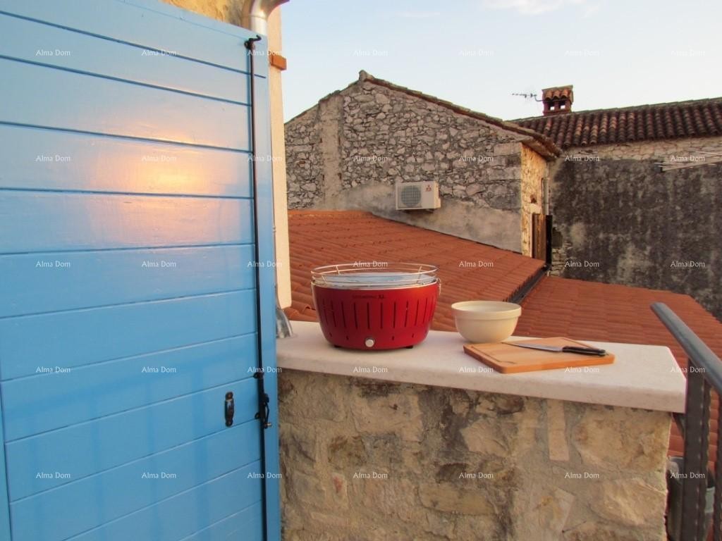 Appartamento Brtonigla 1