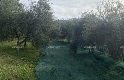 Cerovlje, construction land with an area of 1,575 m²