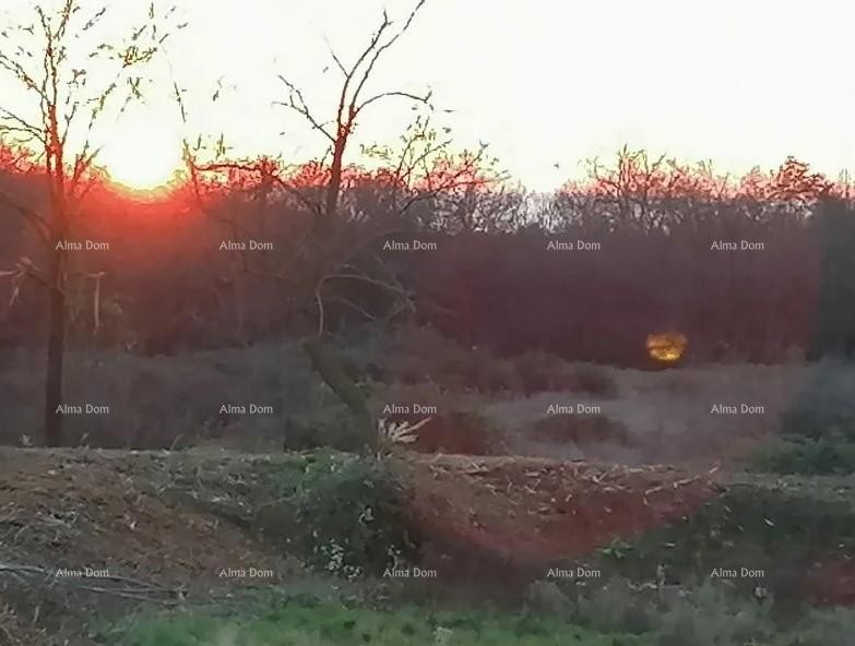 Terreno edificabile in vendita, Tar (Tar-Vabriga) 2