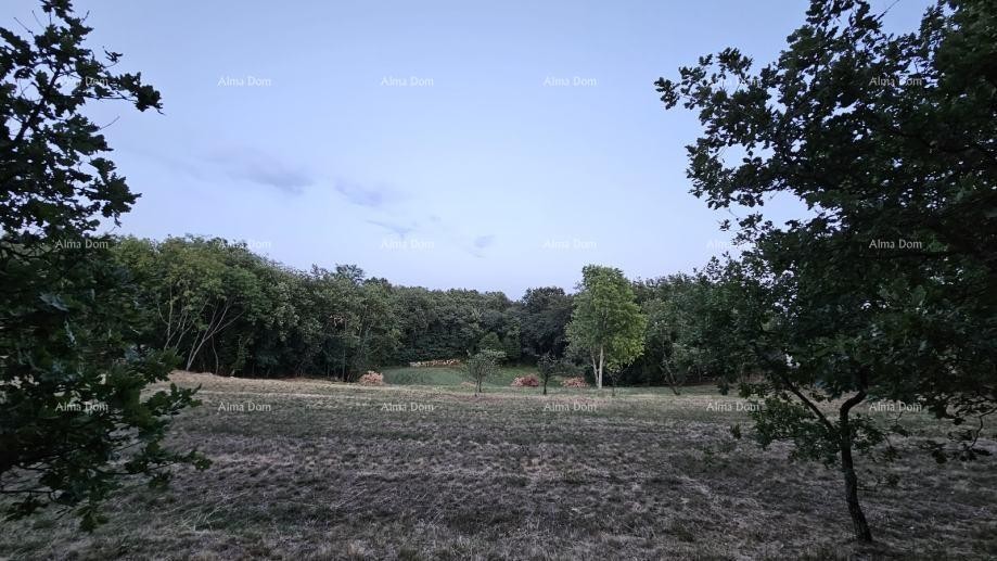 Строительная земля в Тиньяне (Истрия), 3.623 м² 6