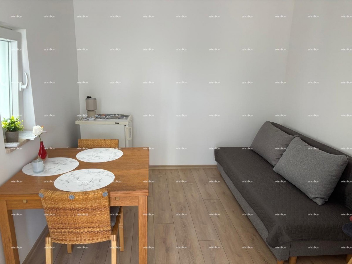 ŠIŠAN, hiša z dvema stanovanjem, 195 m2 18