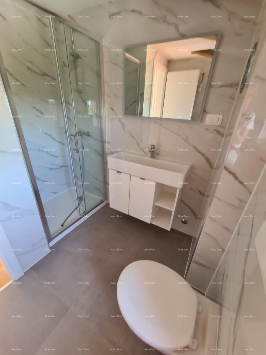 Renovirana kamena kuća s bazenom – mirno selo blizu Svetvinčenta 31