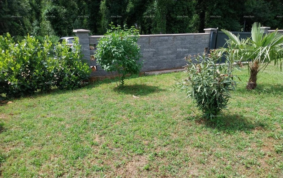 Plot Brtonigla 4