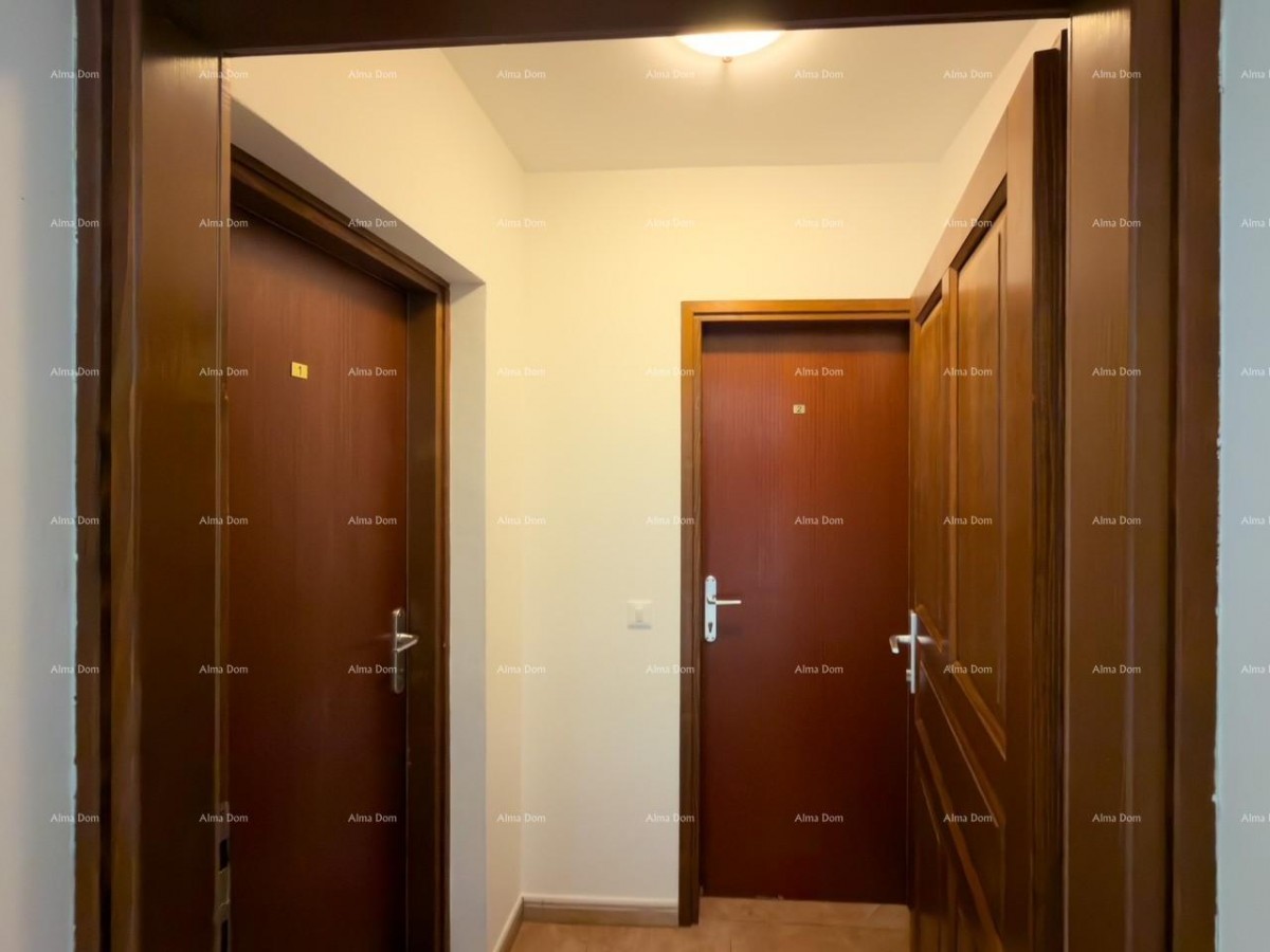Novigrad, apartment in an attractive location with a pool. 2