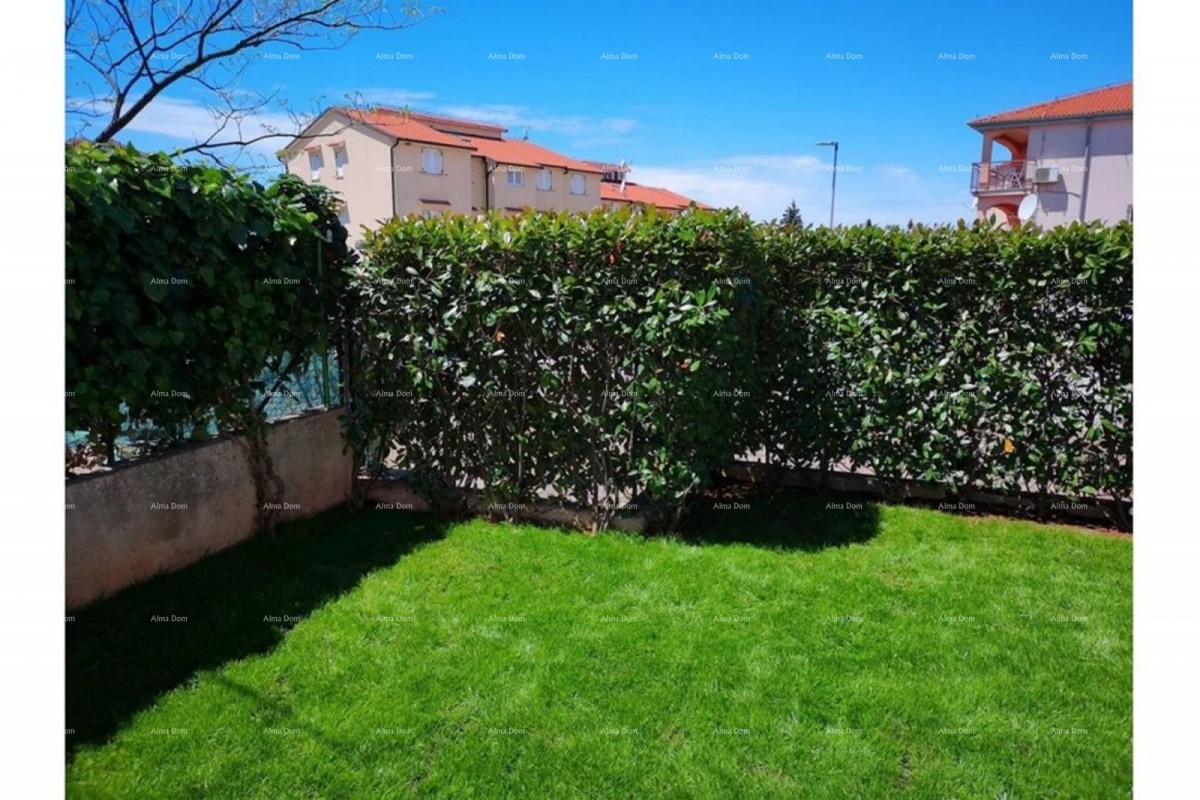 Prostrano stan s dvorištem, Tar 15