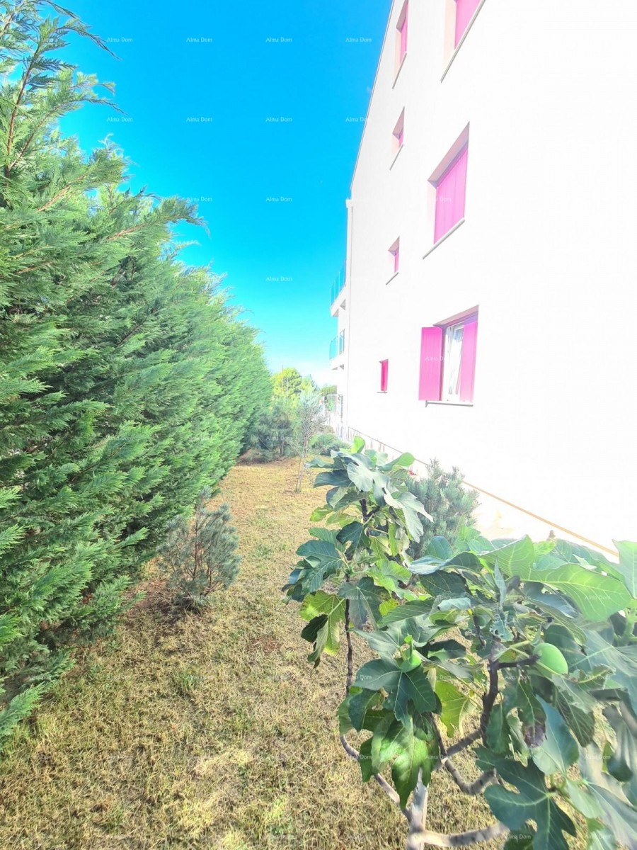 Перой!  Квартира со двором! 25