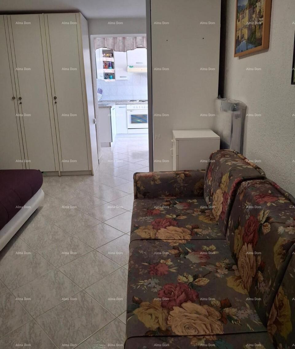 The translation of the title 3