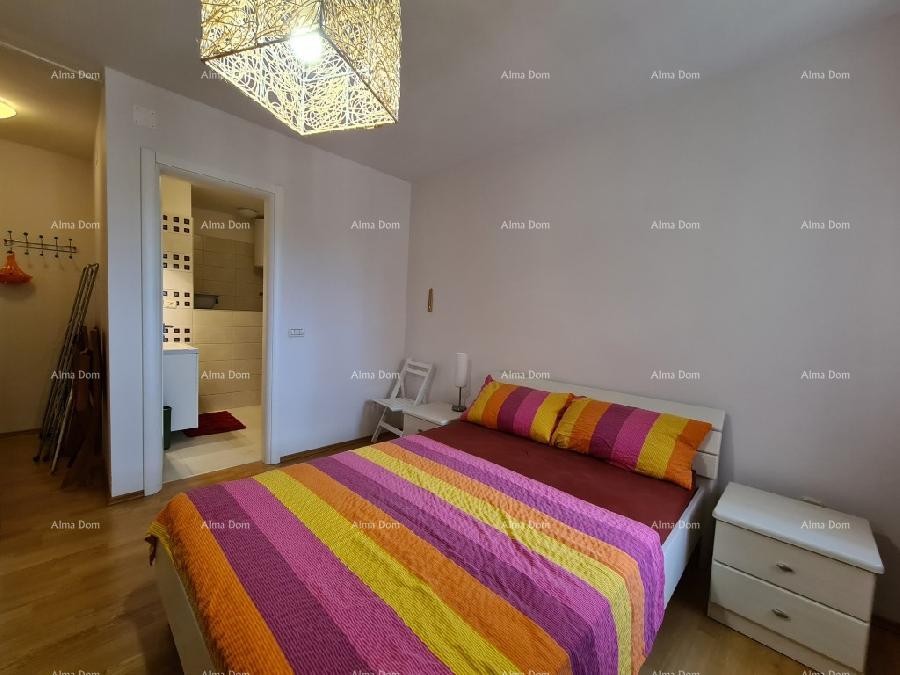 Ližnjan u prodaji  jedna velika i jedna mala kuća. 12