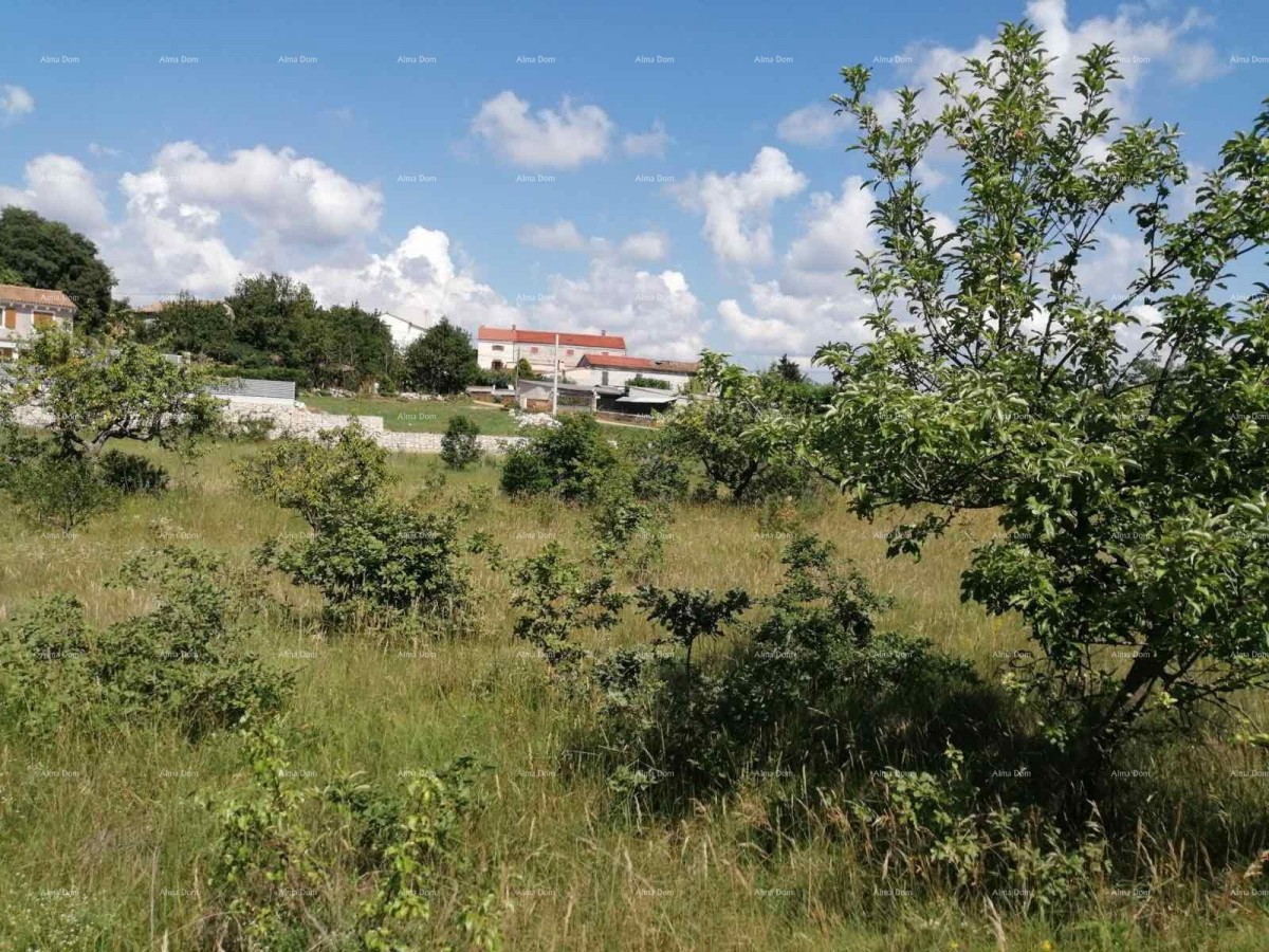 House Kaštelir-Labinci 7