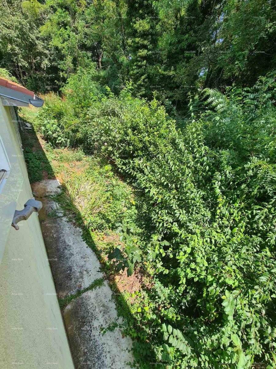 A house with a yard and a large plot of land for sale, Barban 20