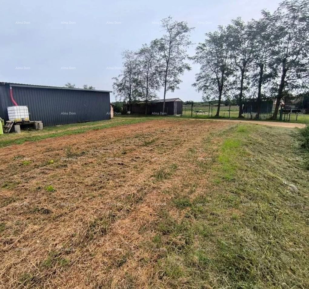 Prodaja - gradbeno zemljišče z idejnim projektom v bližini Karigadora, Brtonigla! 1