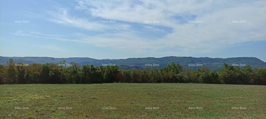 Building land for sale, 1374 m2, Buzet! 3