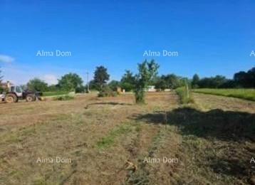 The translation of the title to Slovenian (slv) is: 5