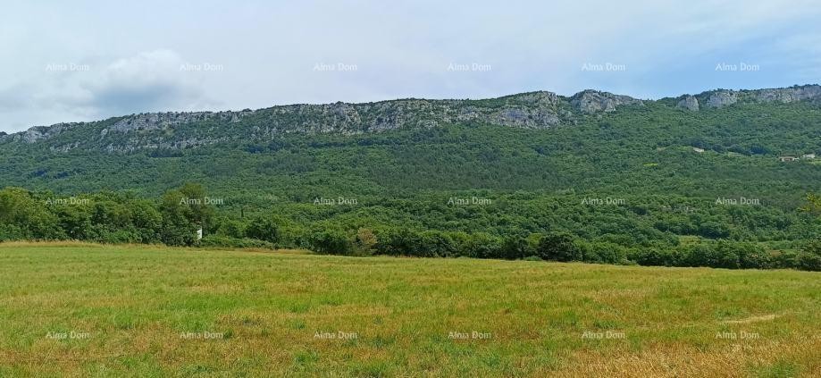 Building land for sale, 1374 m2, Buzet! 2
