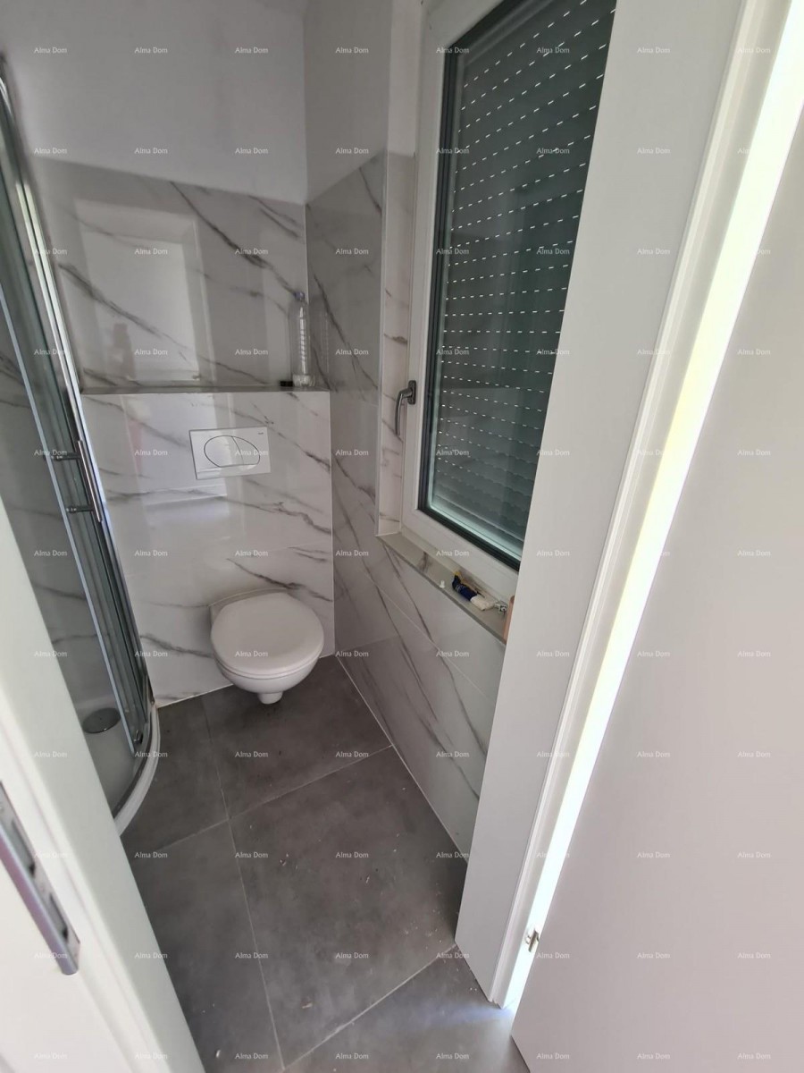 Renovirana kamena kuća s bazenom – mirno selo blizu Svetvinčenta 40