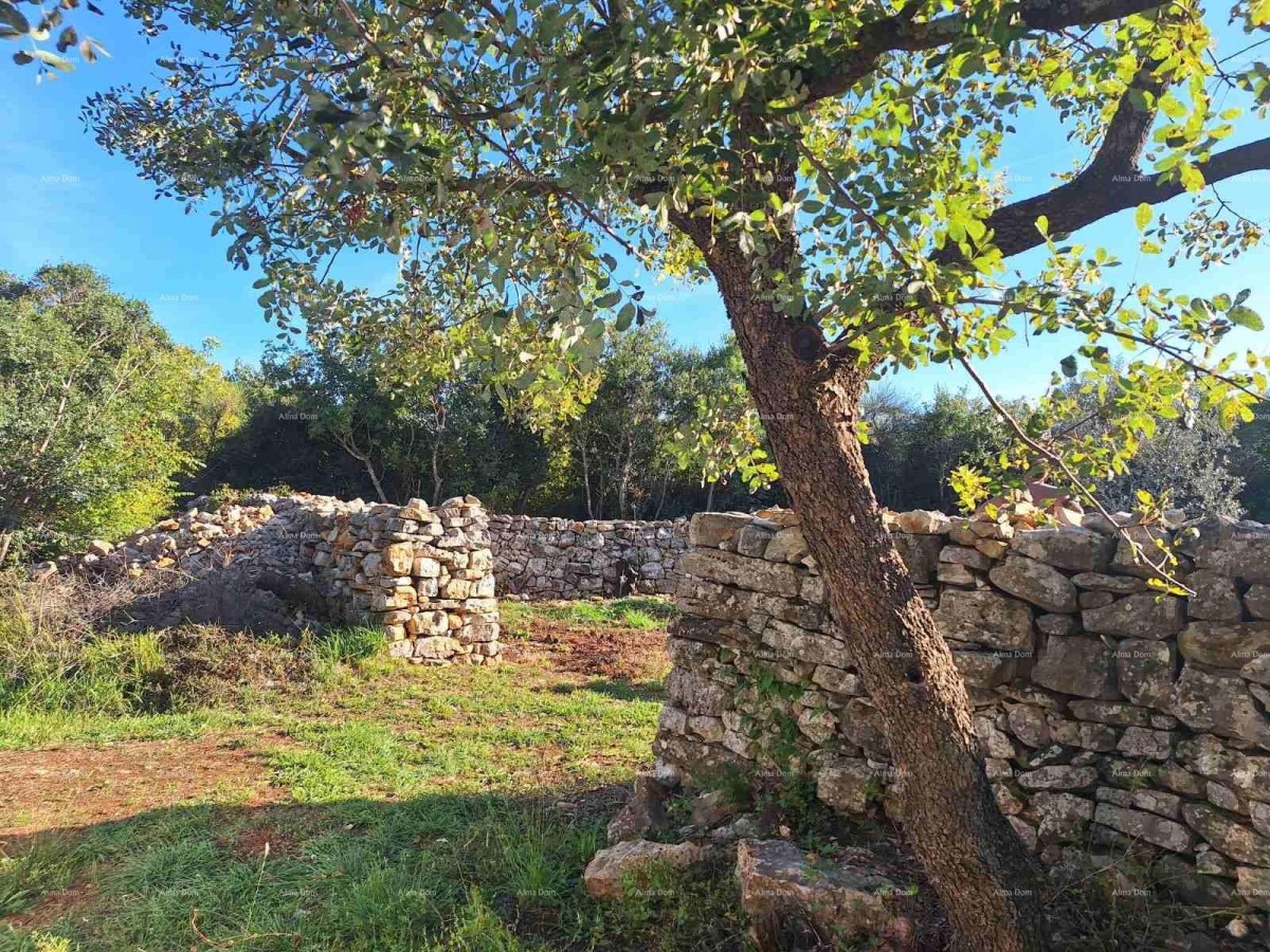 СЕЛЬСКОХОЗЯЙСТВЕННАЯ земля рядом с морем, Перов - продажа! 7