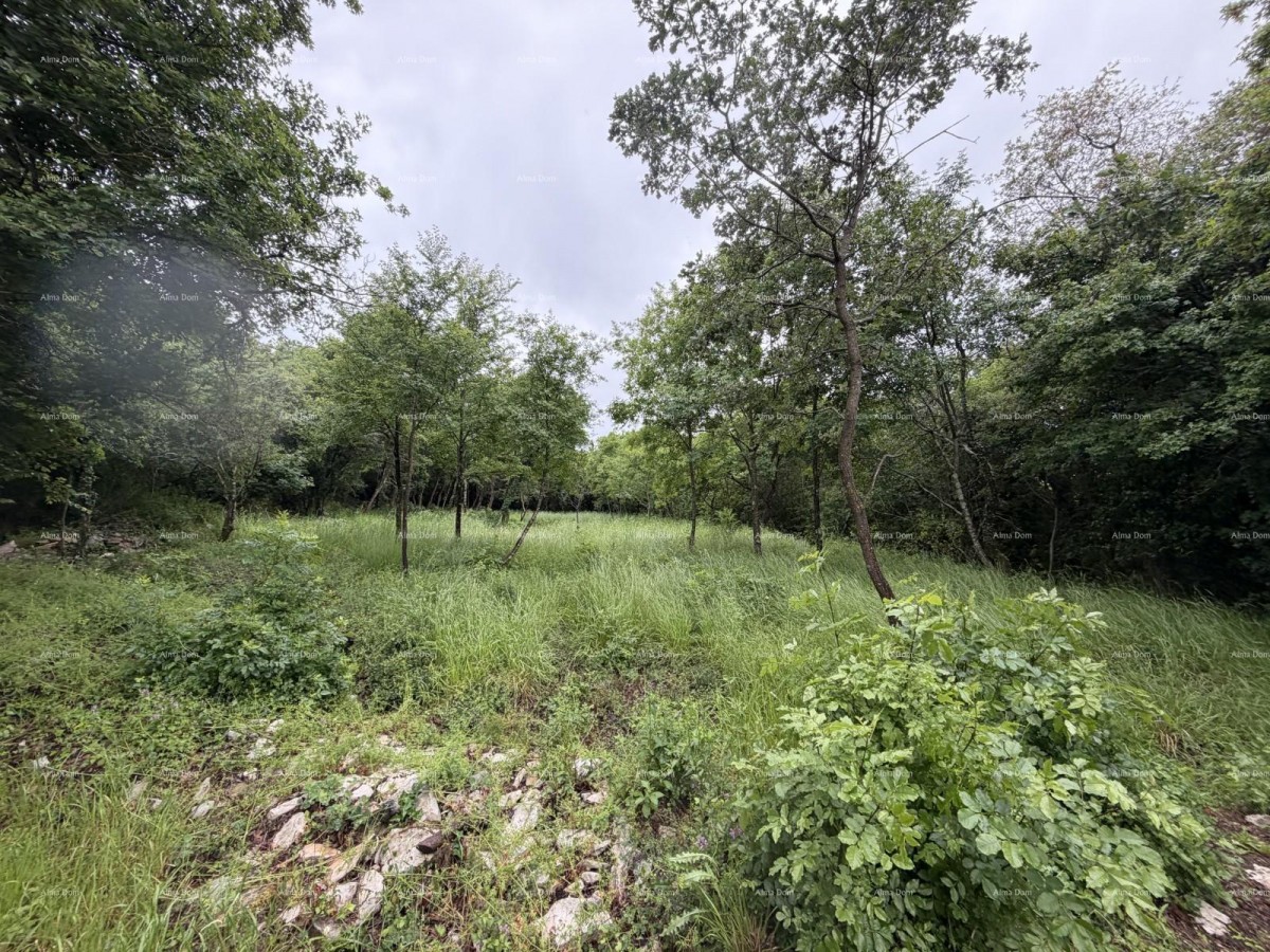 Buje – Building land 1,086 m² with a sea view 5