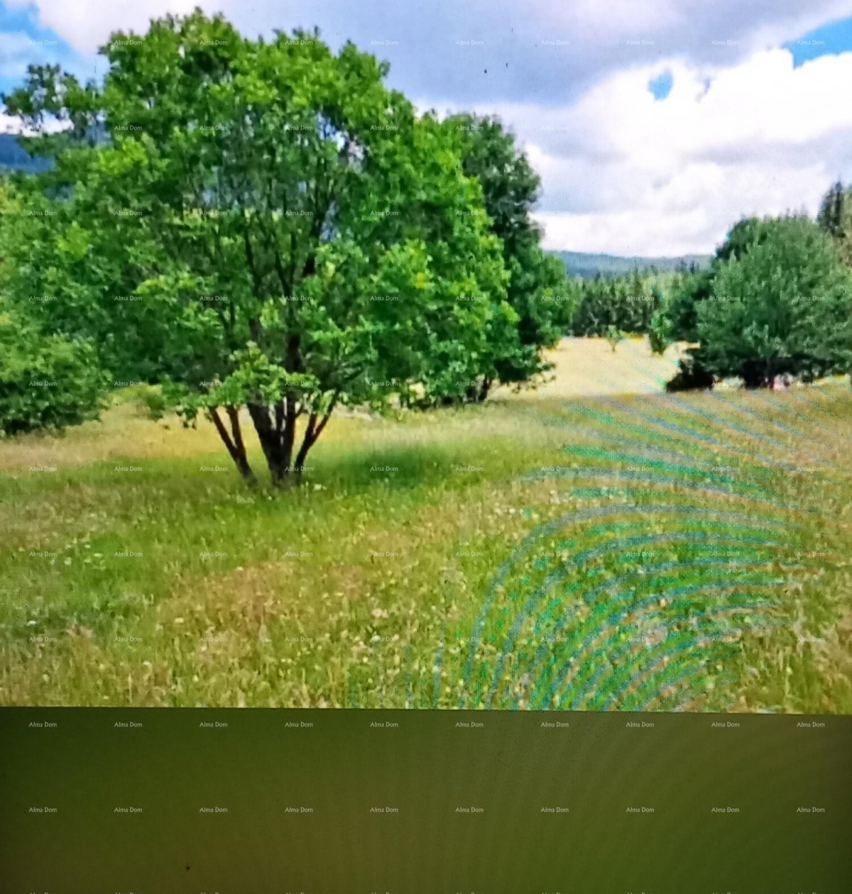 Odlično gradevinsko zemljište u blizini Poreča 1