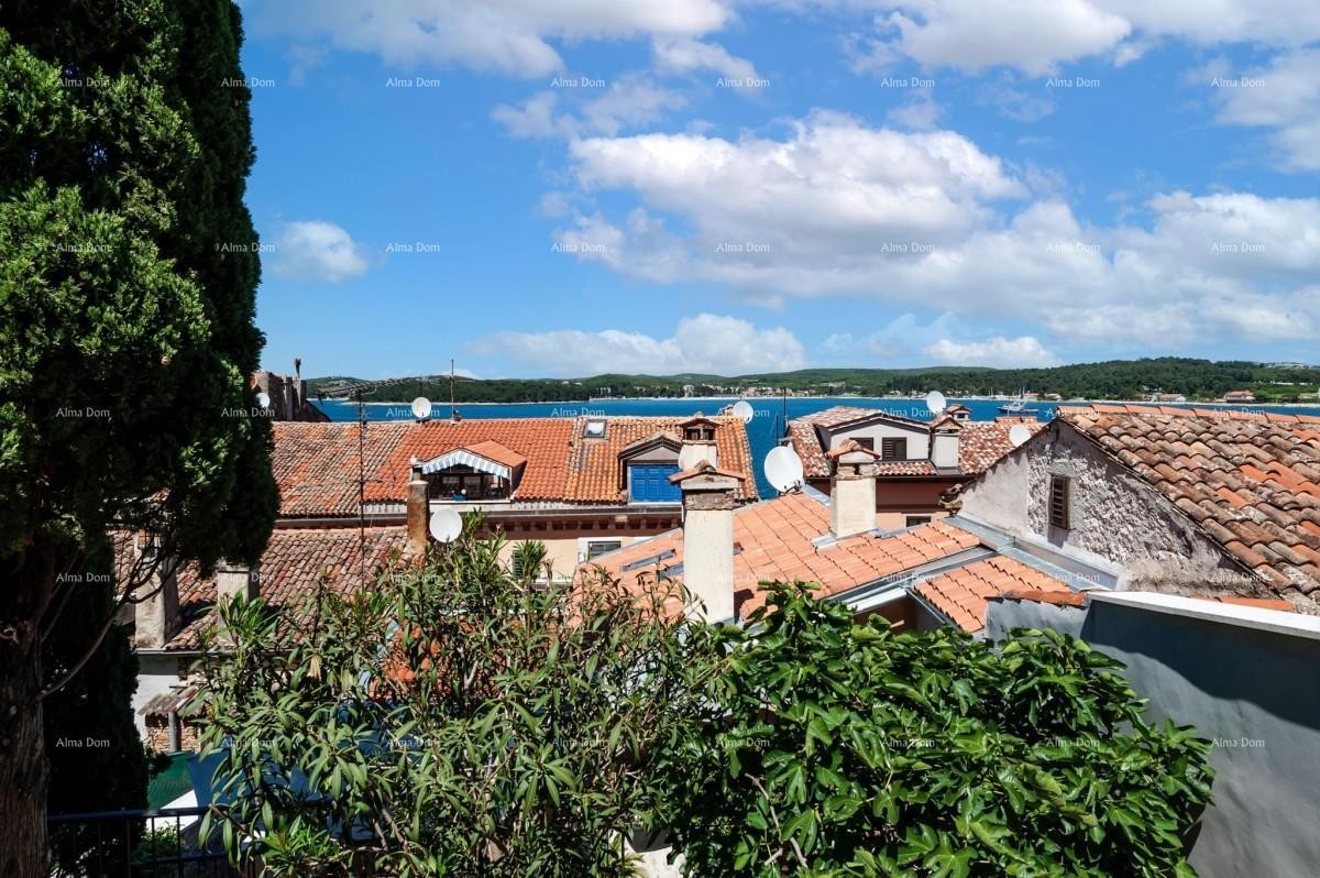 LUKSUZNA VILA S VRTOM IN POSLOVNIM PROSTOROM – EDINSTVENA PRILOŽNOST 12