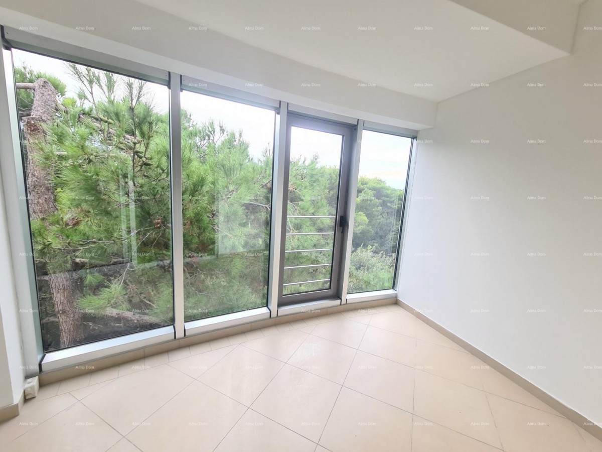 Istra. Pula. Veli vrh. 1