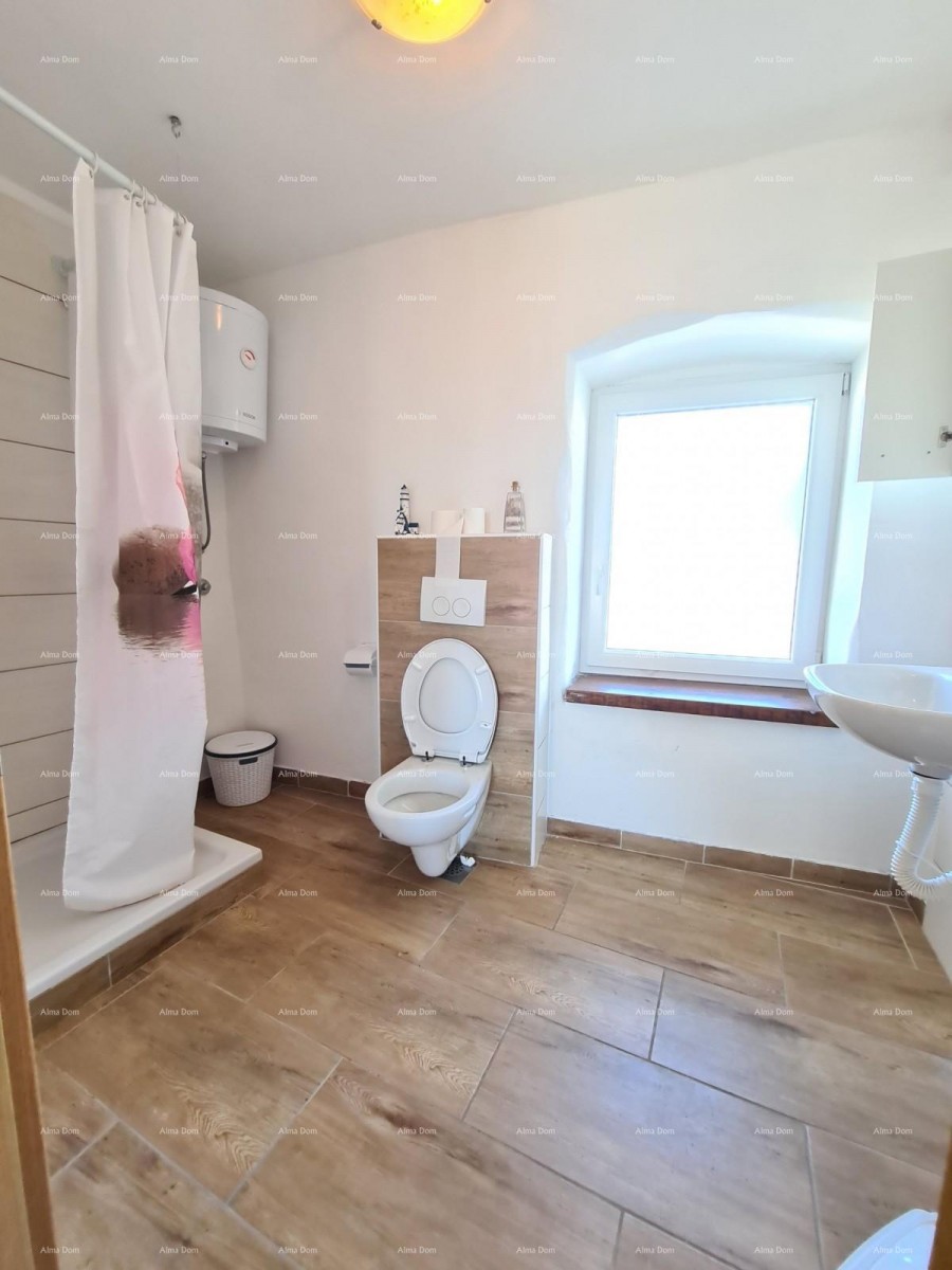 Ližnjan, Istrian renovated house! 50