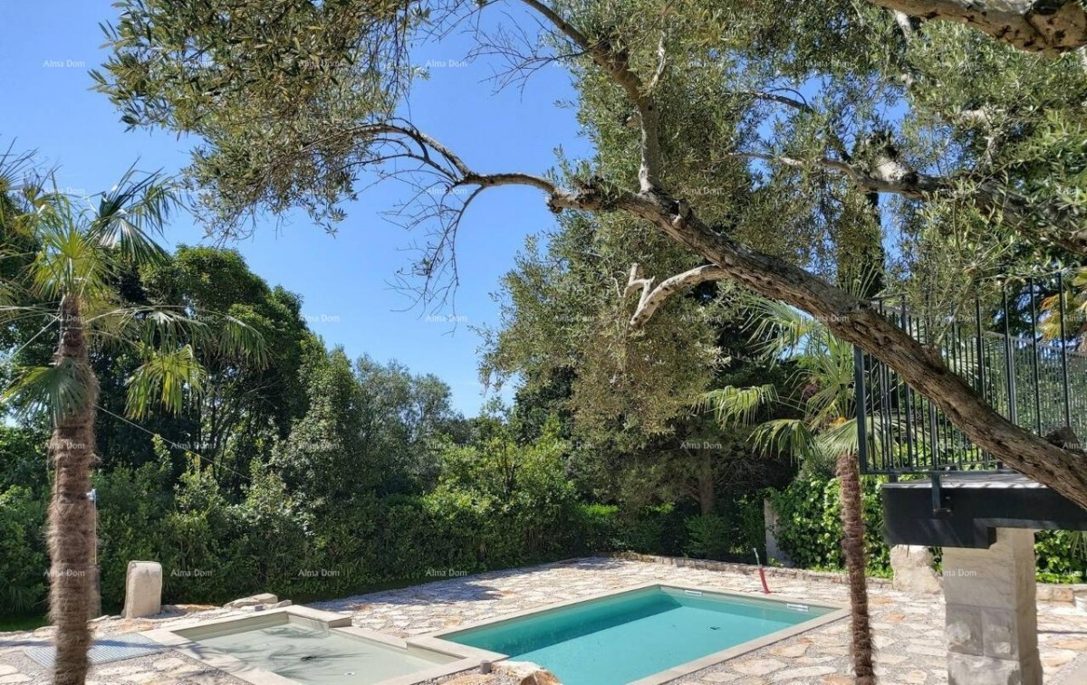 UMAG – Hiša s bazenom in tremi ločenimi apartmaji 14