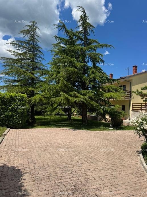 BUZET, AMPIA VILLA INDIPENDENTE CON GRANDE GIARDINO E VISTA MARE 8