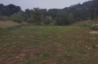 Građevinsko zemljište s  idejnim projektom, 1818 m², općina Pićan