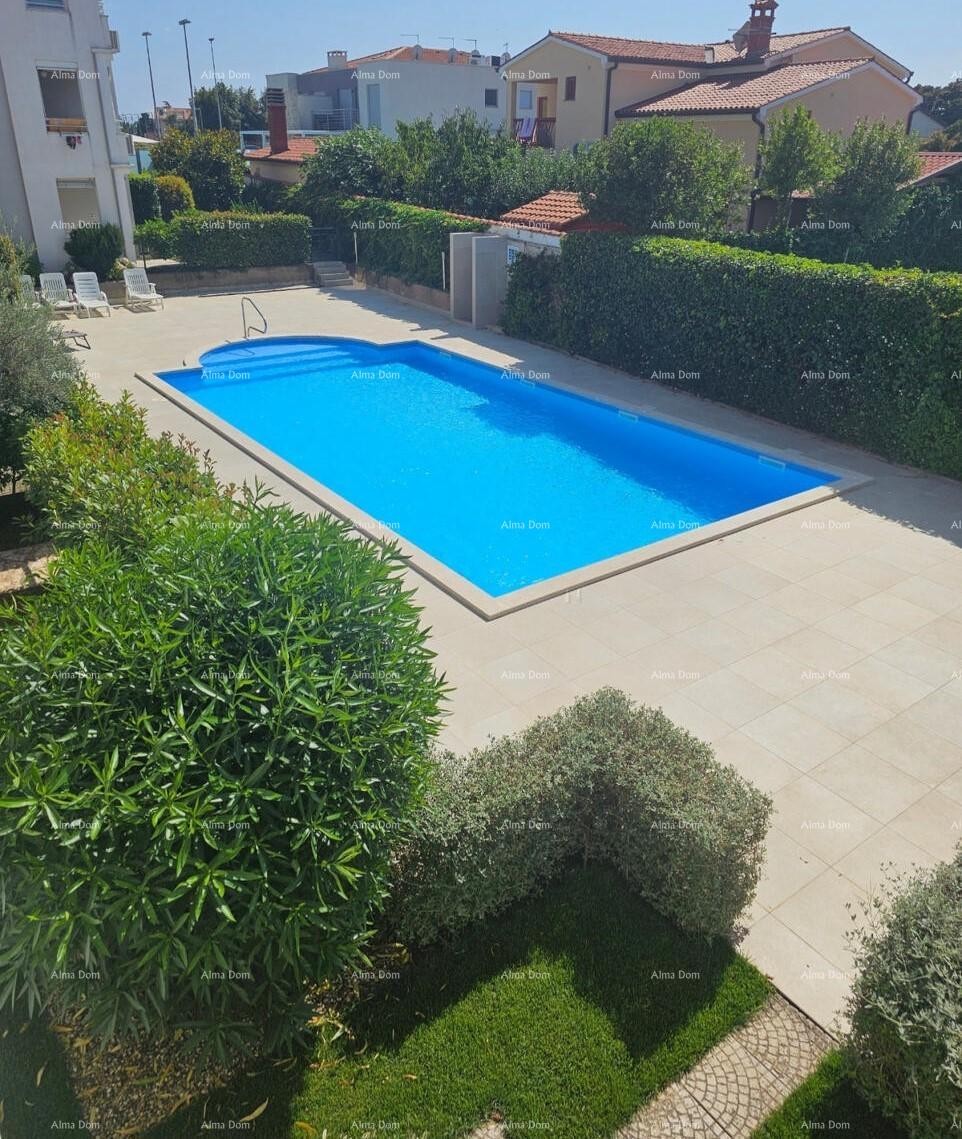 Apartment Umag 1