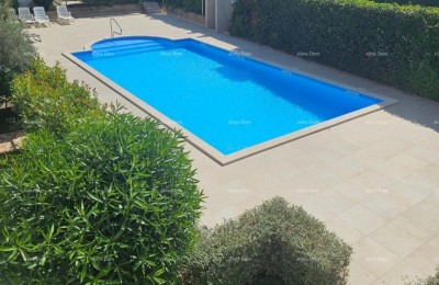 Apartment Umag
