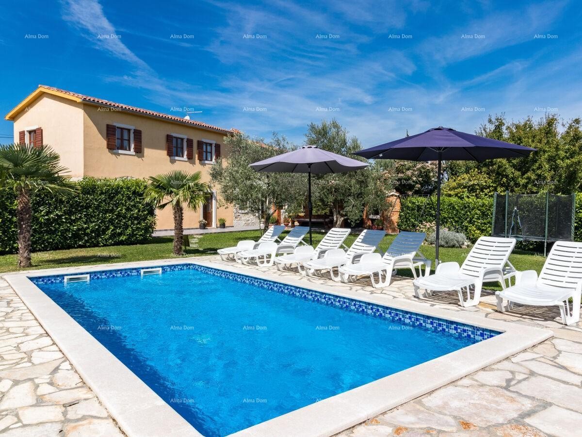 The translation of 11