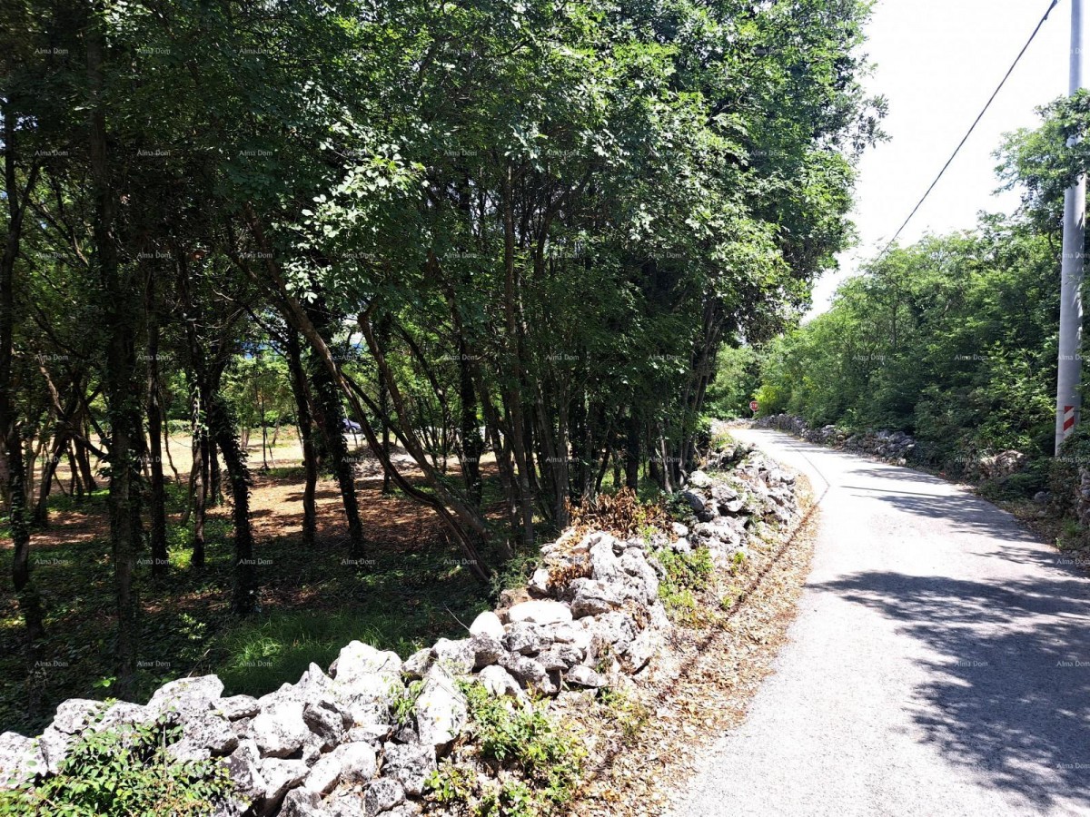 Plot Marčana 1