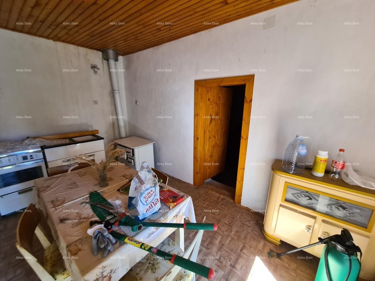 Stancija pri Vodnjanu! Veliko zemljišče 6390 m2!! 11