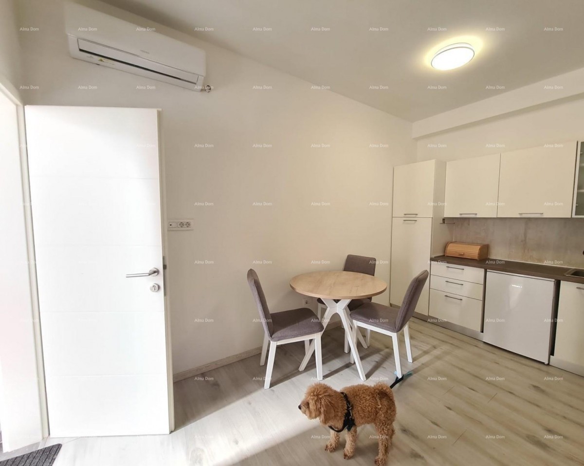 Prodaja nekretnine s dvema apartmaji – Pula 3