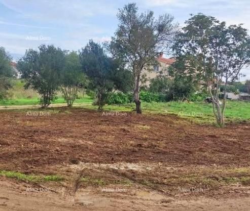 Terreno edificabile con progetto – Valbandon, 450 m² 2