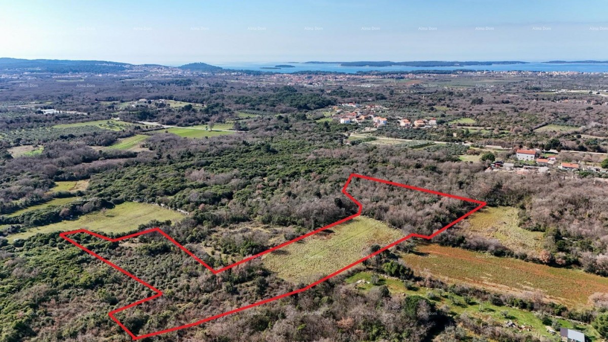 GALIŽANA - Prodaje se veliko poljoprivredno zemljište – 20.498 m², odlična lokacija 2