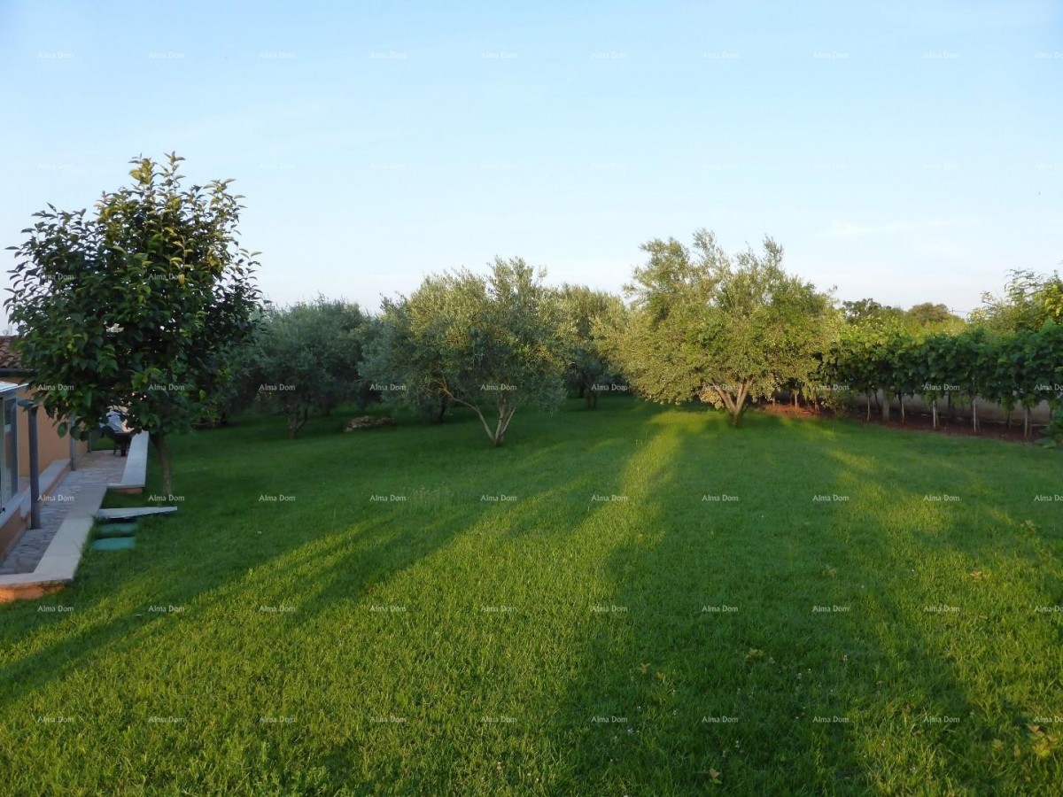 Продажа виллы, Marčana. 8