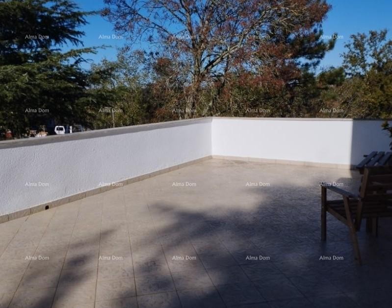 Prodaje se kuća s velikom okućnicom, 5 km od Poreča 11