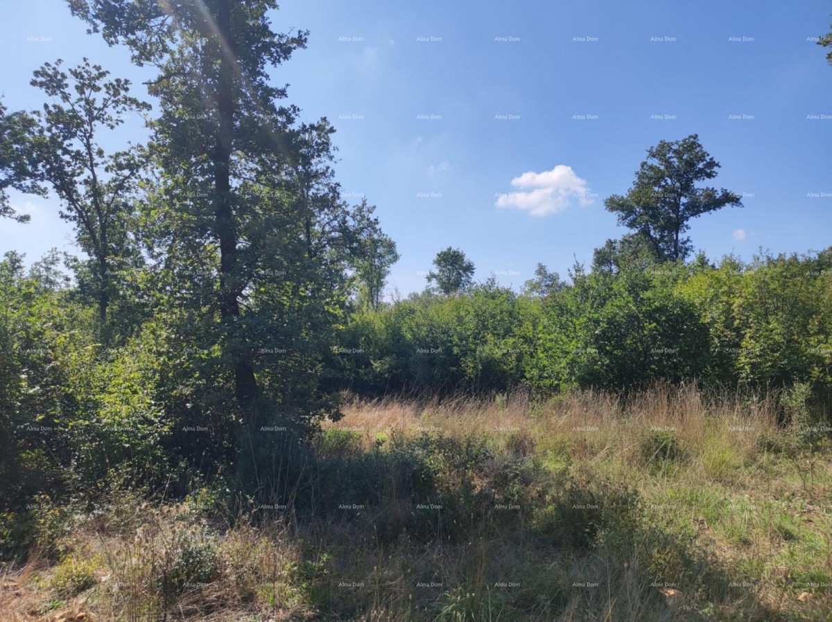 Sale - AGRICULTURAL land, Pula, Valtura! 3