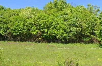 TINAJN - Građevinsko zemljište 4.168 m²