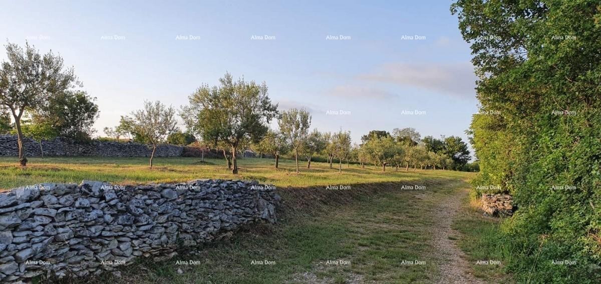 MARČANA FILIPANA - građevinski teren 4