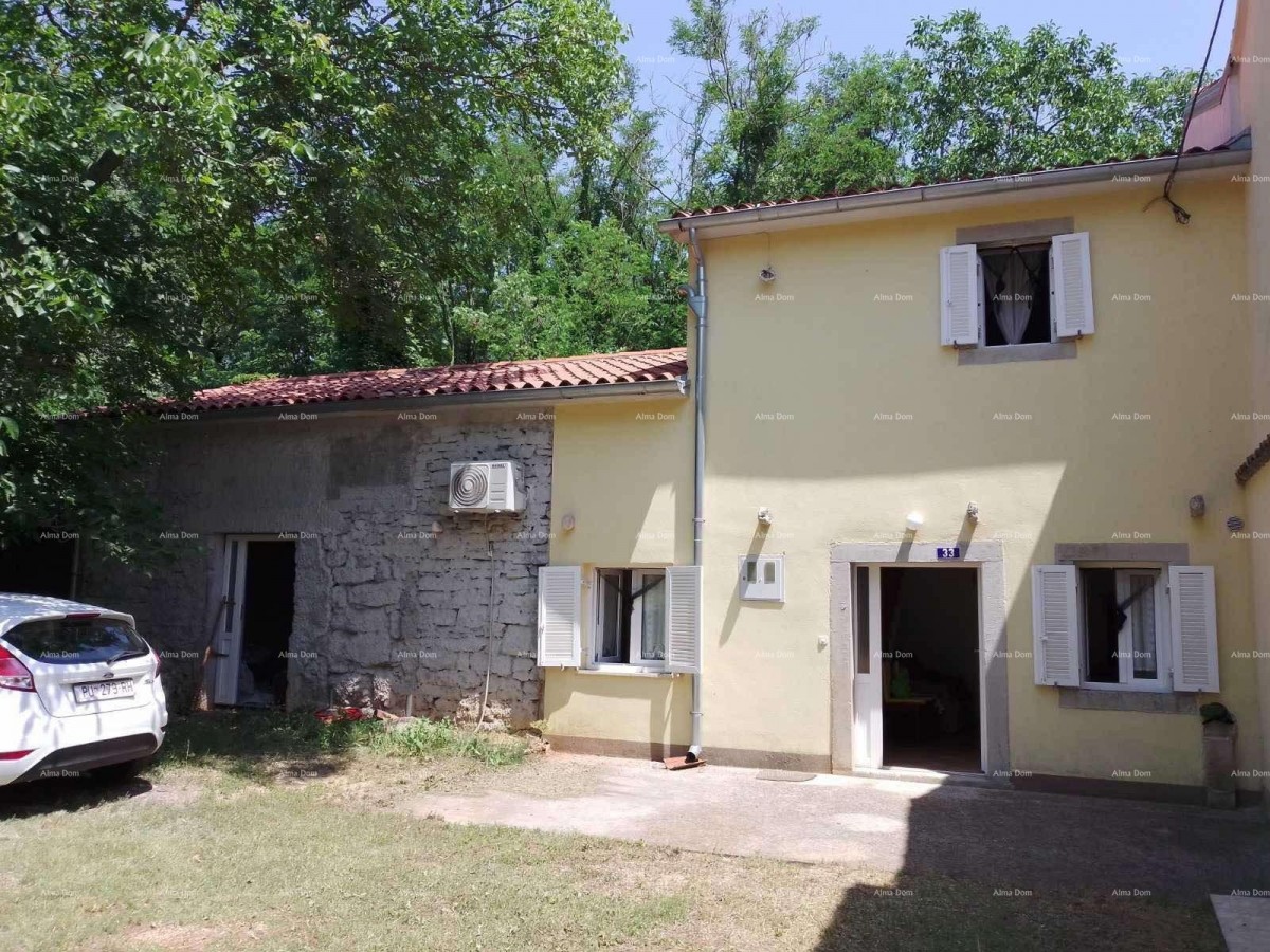 A house with a yard and a large plot of land for sale, Barban 1