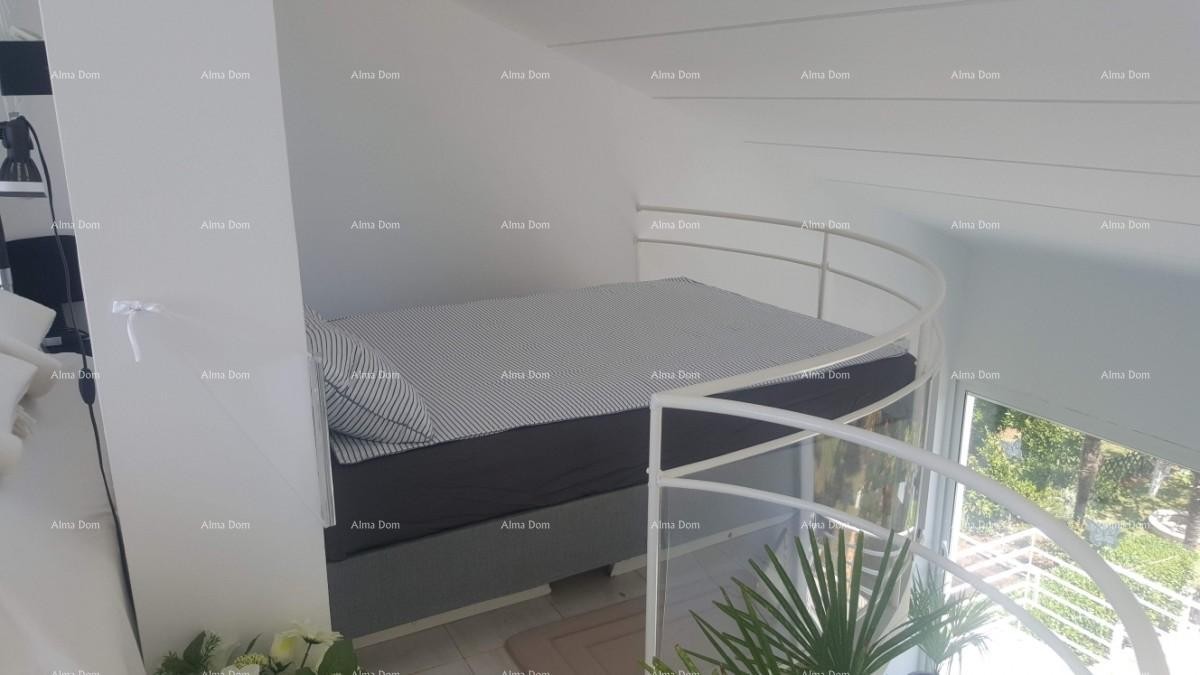 Apartment Novigrad 6