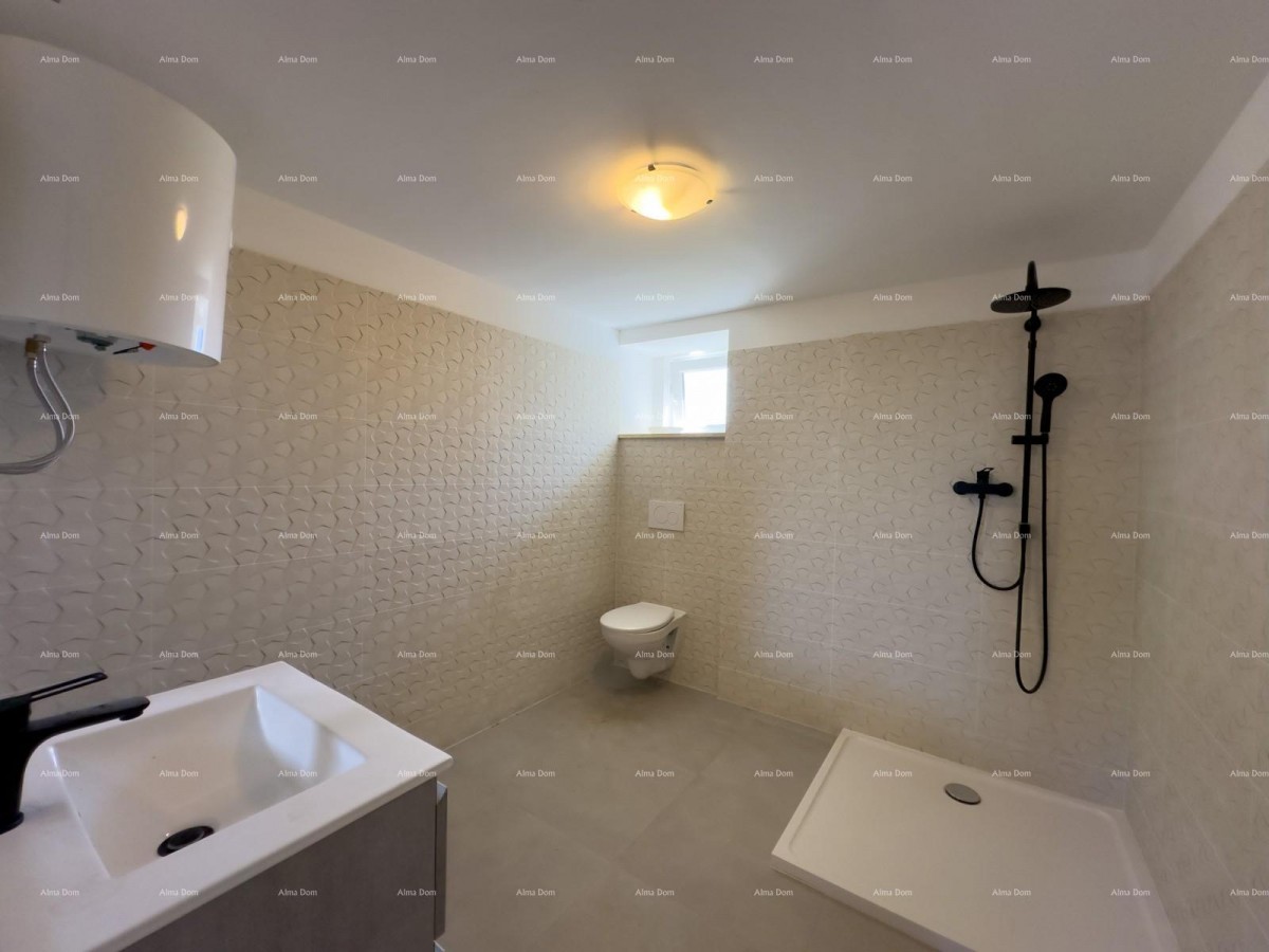 Prodajemo renoviranu Istarsku kamenu kuću u okolici Žminja! 5