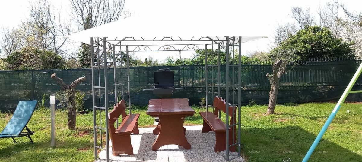 Casa su un piano con ampio giardino 4